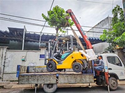 Đầu Tư Xây Dựng 50 Trạm Kiểm Tra Tải Trọng Xe Cố Định 